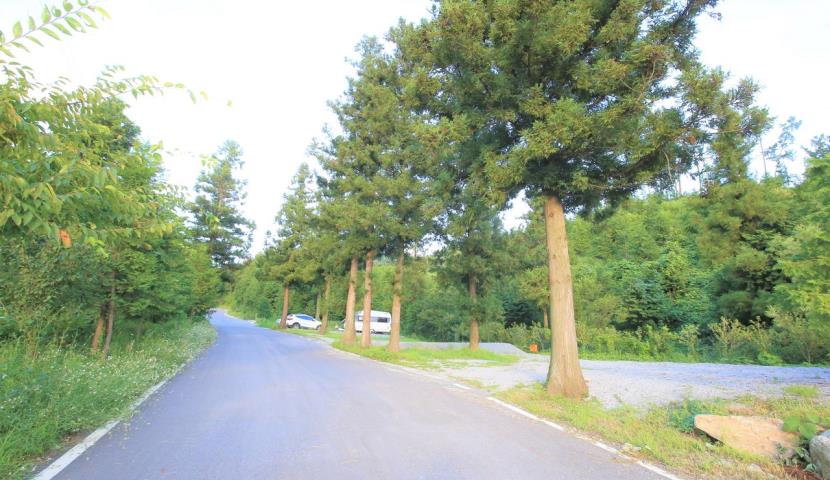C 1,2,3