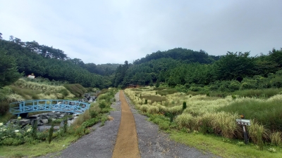 대표사진