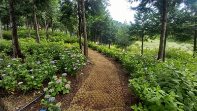 대표사진
