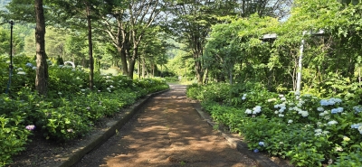 대표사진