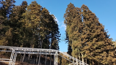 대표사진