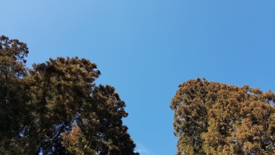 대표사진